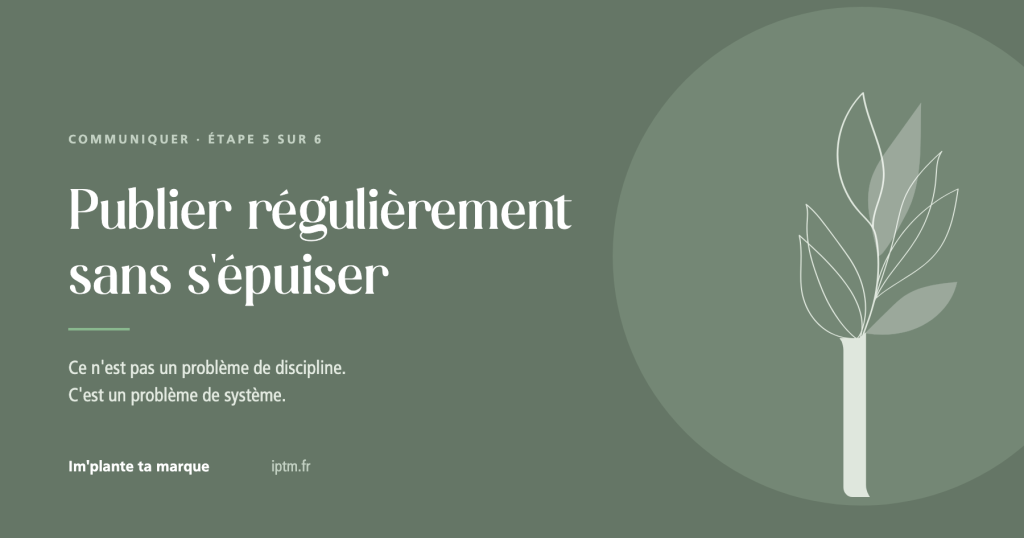 Publier régulièrement sur les réseaux sociaux sans s'épuiser, Im'plante ta marque, Colmar