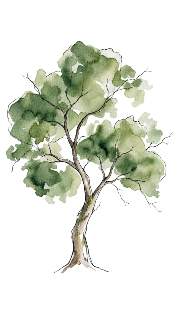 La canopée Im'plante ta marque