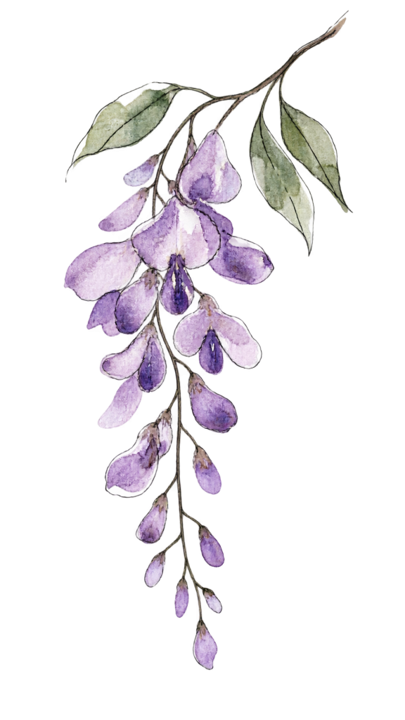 Formule glycine graphisme