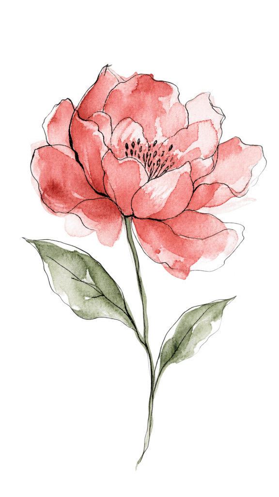 Formule pivoine identité de marque