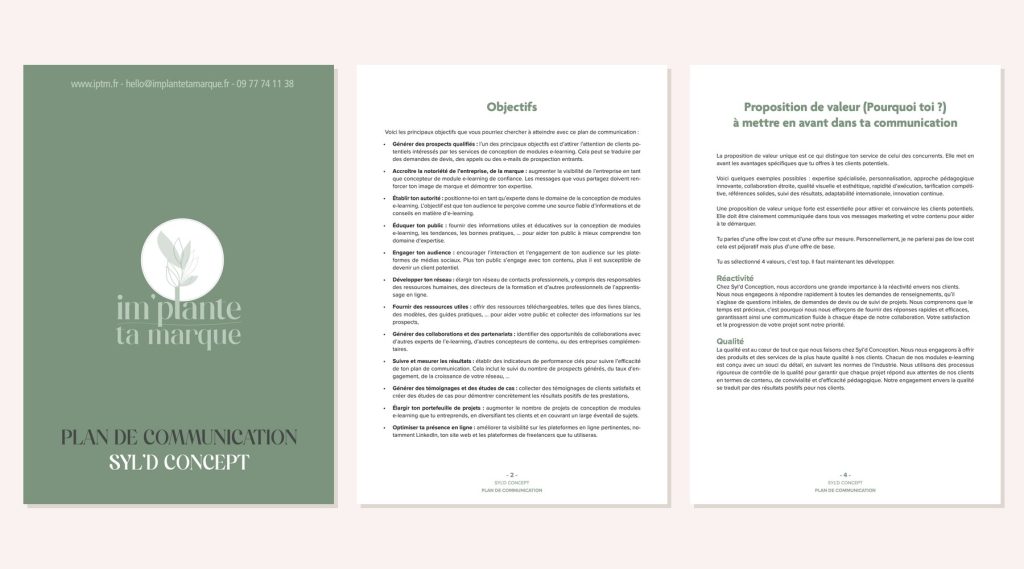 Plan de communication pour Syl'D Concept, conceptrice e-learning en Alsace