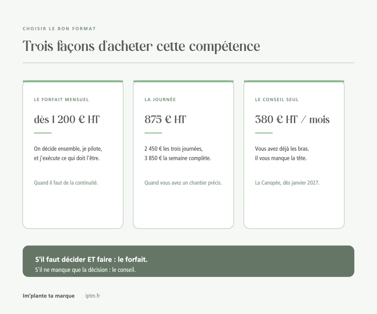 Forfait mensuel, journées ou conseil seul : les trois façons de s'offrir une direction marketing